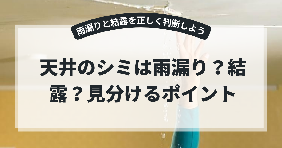 天井から水滴が落ちる室内の様子を背景に、「天井のシミは雨漏り？結露？見分けるポイント」というタイトルを掲載したブログ用アイキャッチ画像。雨漏りと結露の違い、原因や見分け方について解説する記事。