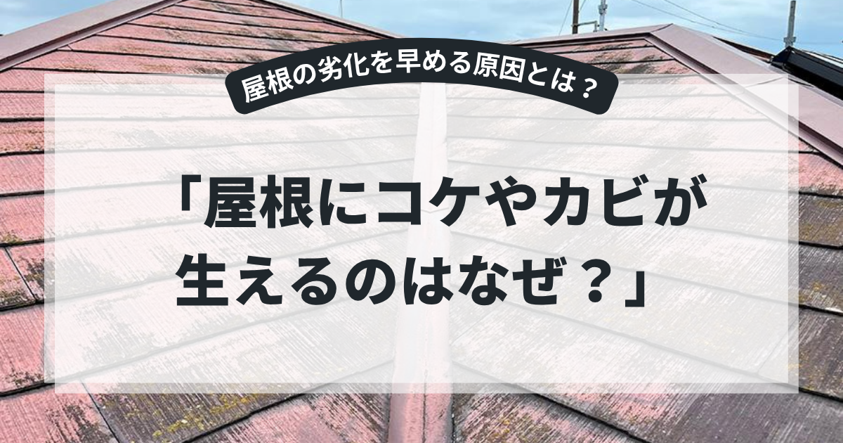コケやカビが発生して変色したスレート屋根の写真を使用したアイキャッチ画像。「屋根にコケやカビが生えるのはなぜ？」というタイトルとともに、屋根にコケやカビが発生する原因や放置するリスク、予防方法やメンテナンスについて解説するブログ用画像。